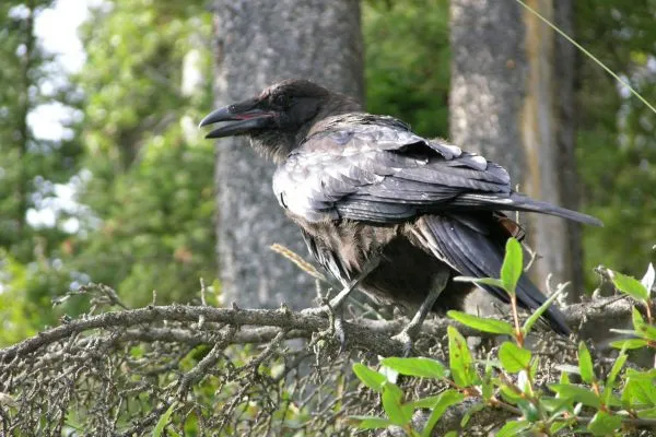 11864957 10207259869637973 3410730194632082967 O 10207259869637973