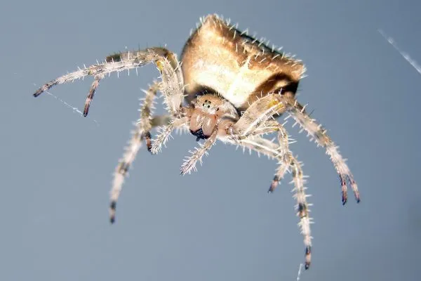 11885040 10207259838477194 1088497011568664008 O 10207259838477194