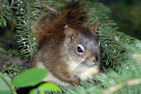 11886168 10207259849517470 3253675810020856492 O 10207259849517470