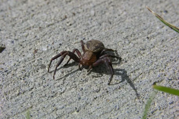 11894552 10207259720754251 333548246588810604 O 10207259720754251