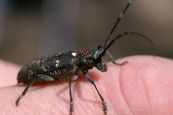 11921852 10207259852157536 6121336382816547663 O 10207259852157536