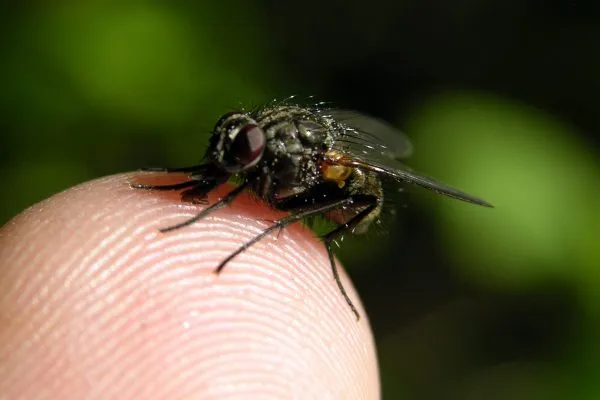 11930965 10207259847037408 4616114330612801283 O 10207259847037408