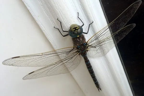 13923500 10209881235690486 1427929929901837531 O 10209881235690486