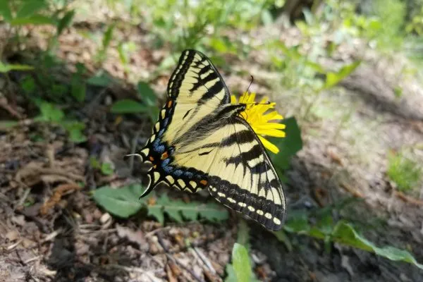 192707900 10225209214760383 2945604379143824897 N 10225209214720382