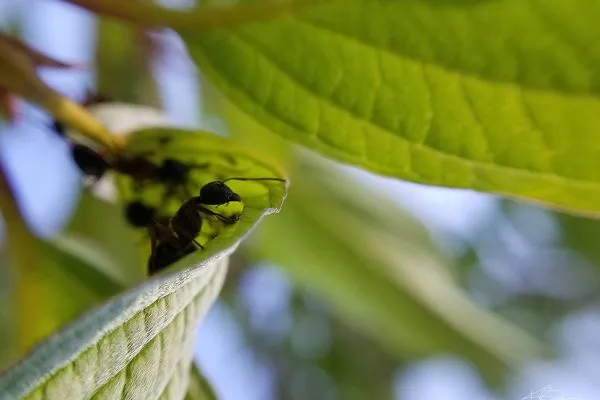 67074717 10219057065320492 9083246787497558016 N 10219057065280491