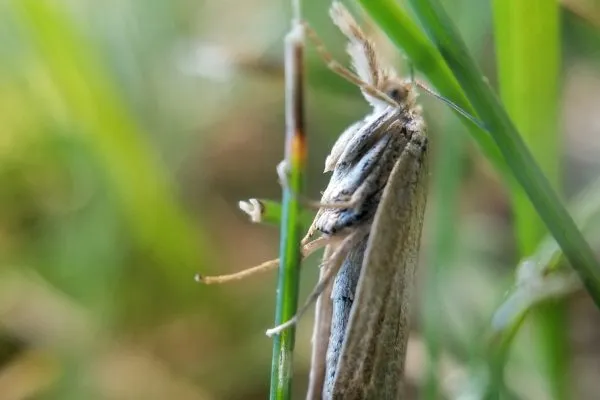 67078692 10219057064600474 8521441528759975936 N 10219057064560473