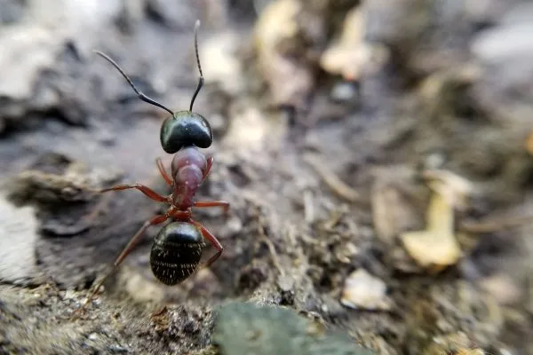 67105781 10219057073120687 5882535470872657920 N 10219057073080686