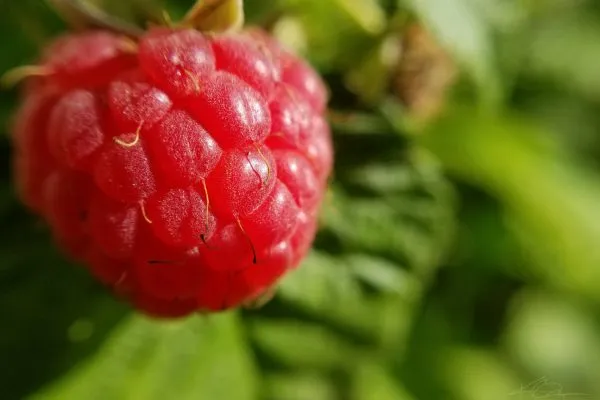 67316438 10219081923221924 8539097185831092224 N 10219081923181923