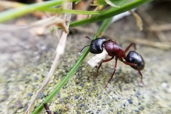 67353582 10219121135082196 7133973182968496128 N 10219121135042195