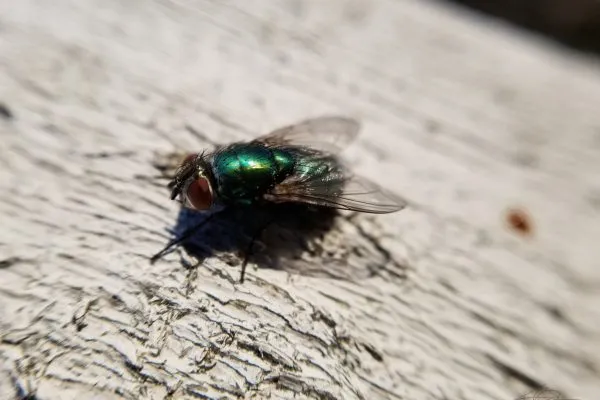 67372649 10219118519056797 713419176244412416 N 10219118519016796