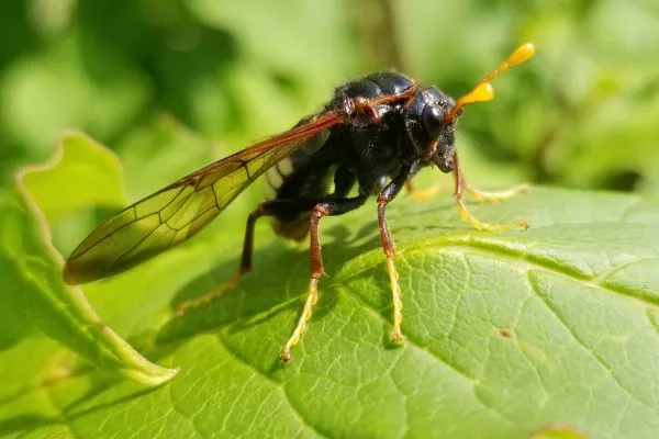 67378624 10219057070160613 352712738801188864 N 10219057070080611