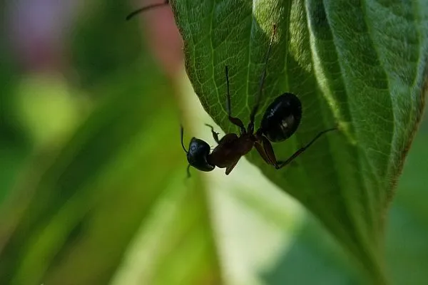 67409004 10219057064720477 1587761079033790464 N 10219057064680476