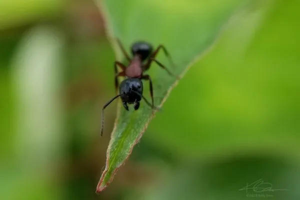 67434694 10219121132922142 7322498801036427264 N 10219121132842140