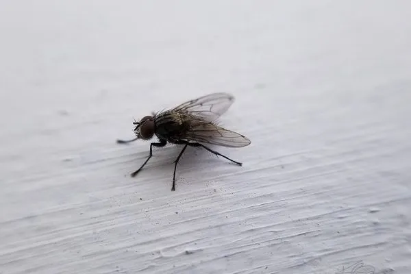 67623071 10219101349987581 7156041068532727808 N 10219101349827577