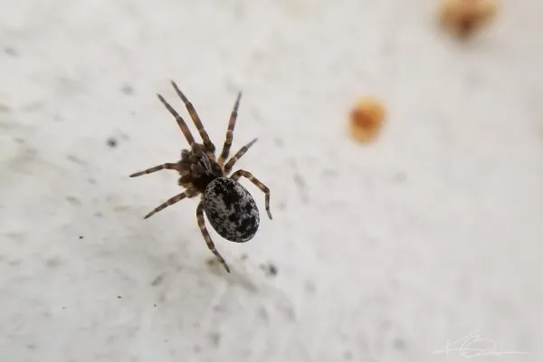 67658677 10219180614649148 6011891081145221120 N 10219180614609147