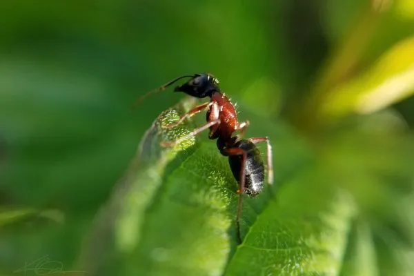 67688773 10219081923021919 1916586541174489088 N 10219081922861915