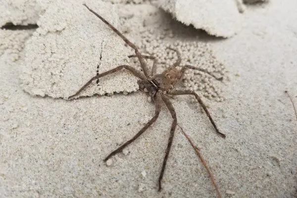 67757362 10219092267480524 8381719456572768256 N 10219092267440523