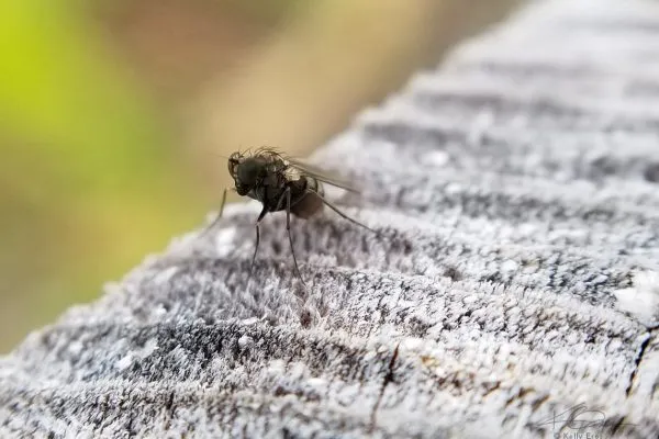 67801313 10219219133572097 2188115975650410496 N 10219219133492095