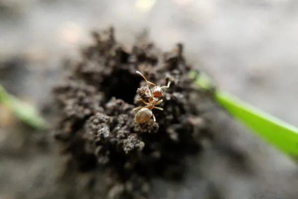 67951722 10219101350547595 5536090322011947008 N 10219101350507594