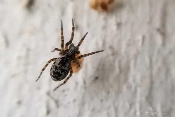 67976893 10219180614769151 6181316906633396224 N 10219180614729150