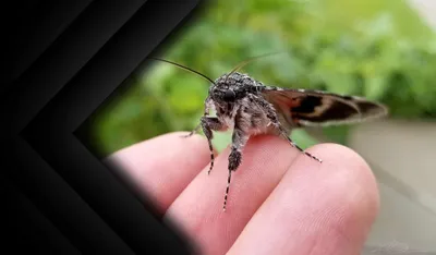 Kelly Eros - Photography