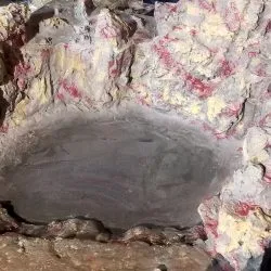 20210824 141923 Min 20210824 141923 Min