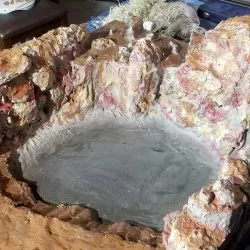 20210824 145049 Min 20210824 145049 Min