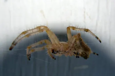 11047912 10207259722554296 255037548595737400 O 10207259722554296