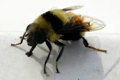 11145220 10207259854157586 4920231722218918887 O 10207259854157586