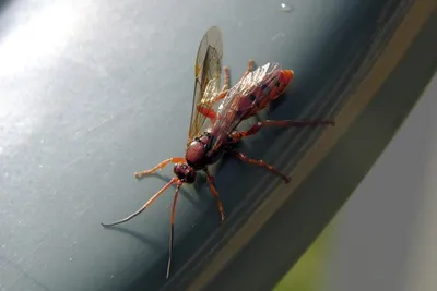 11146656 10207259865677874 4239572787741860702 O 10207259865677874