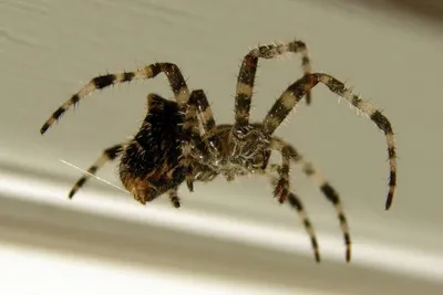 11222274 10207259722874304 954536922766817990 O 10207259722874304