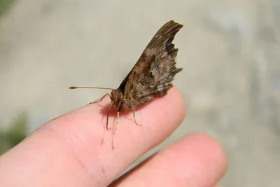 11222552 10207259794076084 3424770036387338109 O 10207259794076084