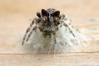 11224843 10207259837597172 6629523207779046030 O 10207259837597172