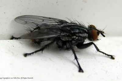 11850451 10207259718954206 8807267949176882010 O 10207259718954206