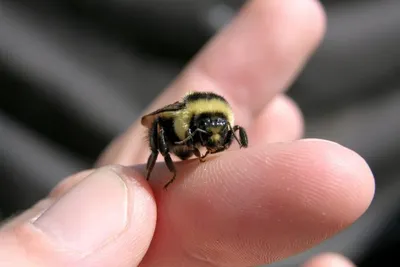 11872047 10207259719874229 5957614400932389124 O 10207259719874229