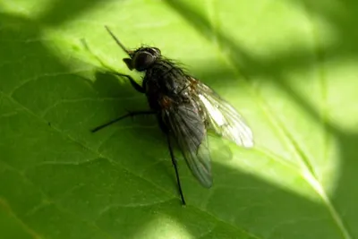 11875251 10207259846357391 3602462321583949595 O 10207259846357391