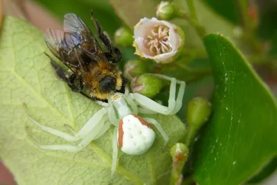 11878977 10207259815196612 4382293725496536601 O 10207259815196612