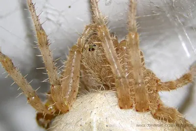 11878996 10207259861157761 3205019787552555790 O 10207259861157761