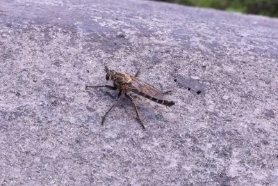 11884947 10207259864597847 7182456381154960991 O 10207259864597847