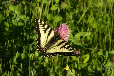 11887744 10207259791316015 3427860165703533897 O 10207259791316015