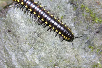 11888139 10207259815676624 2826098846552211478 O 10207259815676624