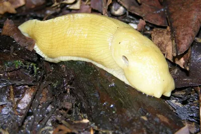 11893860 10207259815356616 2983500151229890885 O 10207259815356616