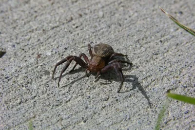 11894552 10207259720754251 333548246588810604 O 10207259720754251