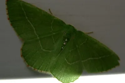 11895046 10207259720194237 583609622594965481 O 10207259720194237