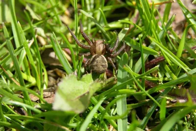 11896455 10207259720914255 8269797410356374624 O 10207259720914255