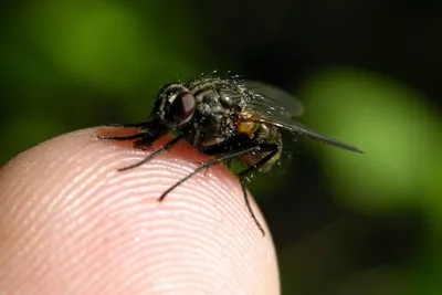 11930965 10207259847037408 4616114330612801283 O 10207259847037408