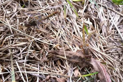 11930986 10207259863597822 5090907563483069435 O 10207259863597822