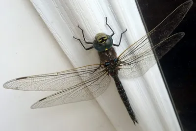 13923500 10209881235690486 1427929929901837531 O 10209881235690486