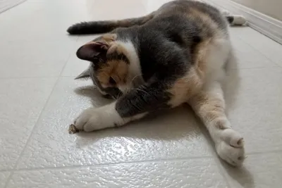 39742525 10216547402660494 5039282070380085248 N 10216547402500490