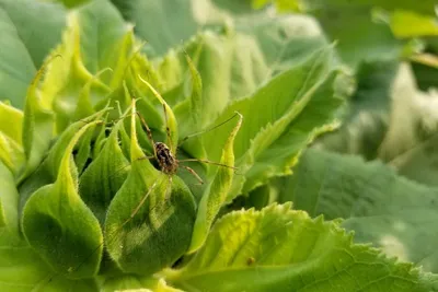 39804969 10216547402420488 2565755776924647424 N 10216547402380487